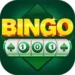 Bingo 101 app logo PNG showing real cash gaming platform with modern design